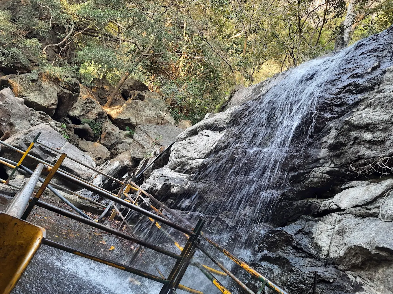Suruli Falls, photo 3 of 11