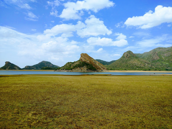 Topslip Anamalai Tiger Reserve (ATR), photo 1 of 9