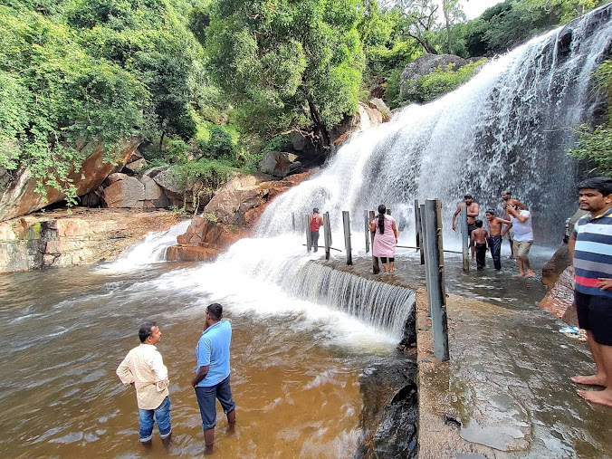Topslip Anamalai Tiger Reserve (ATR), photo 2 of 9