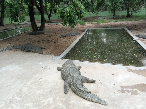 Amaravathi Dam, photo 4 of 8