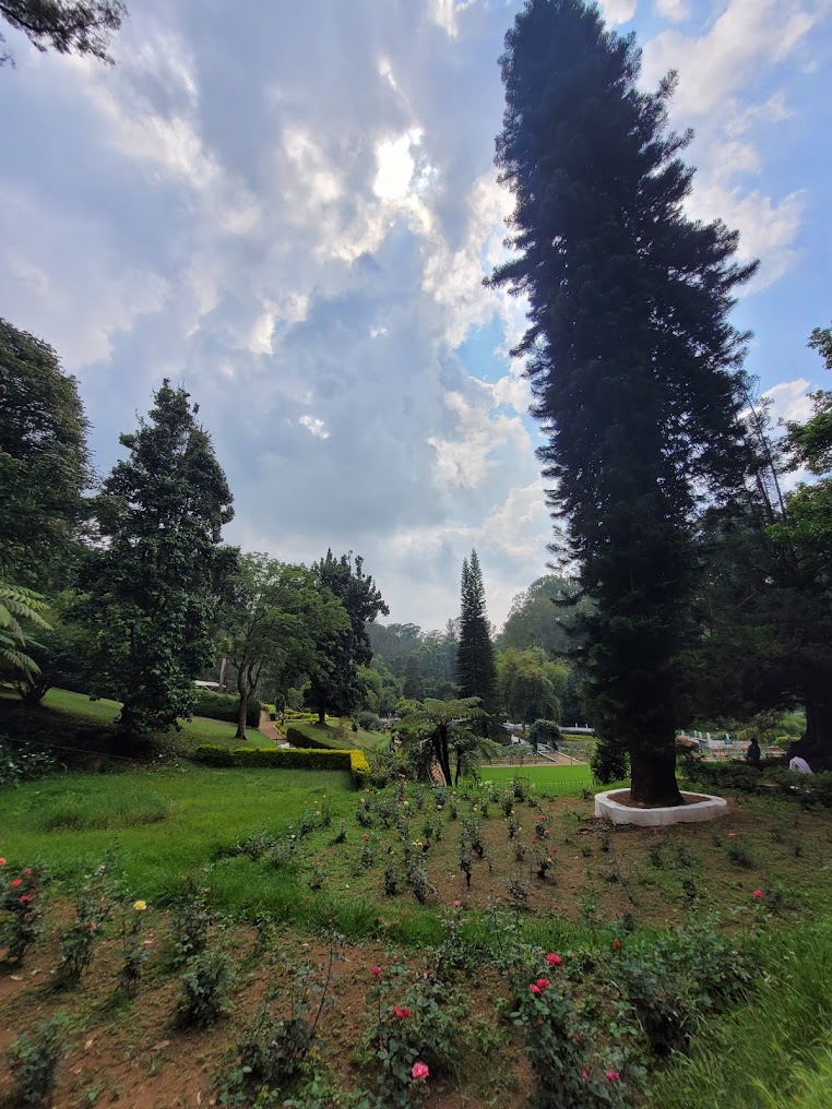Sim's Park, photo 1 of 10