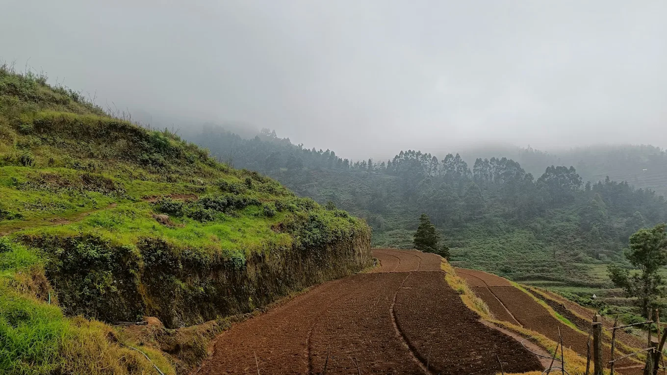 Poombarai Village View Point, photo 3 of 11