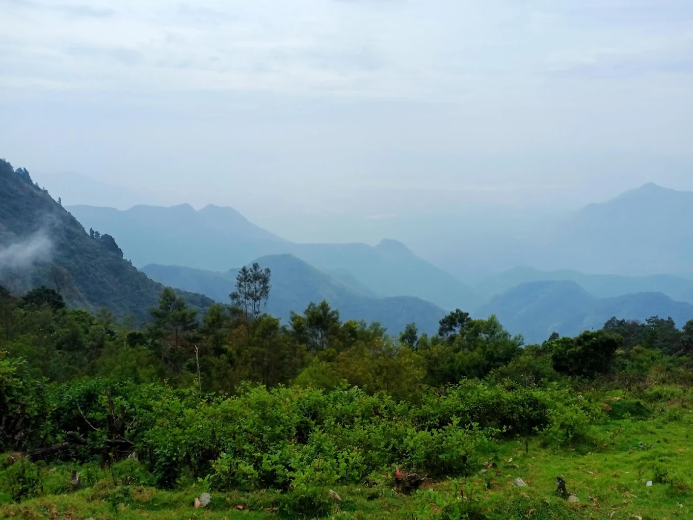 Kodaikanal, Tamil Nadu, photo 4