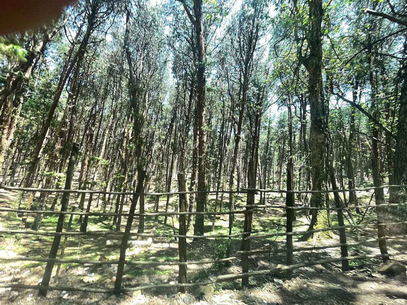 Moir Point parking area, photo 4 of 11