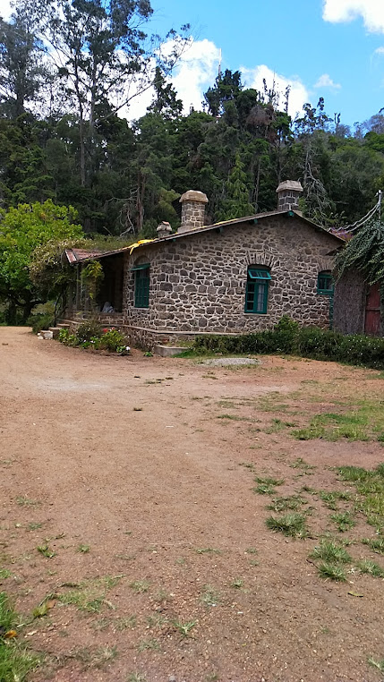 Palni Hills, photo 1 of 10