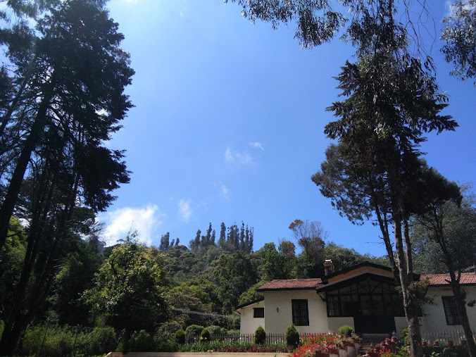 Palni Hills, photo 2 of 10