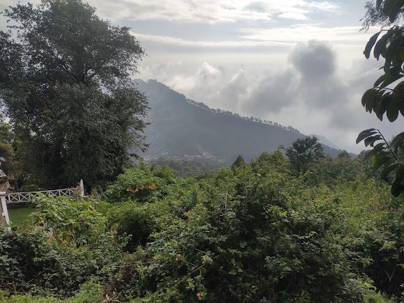 Palni Hills, photo 3 of 10