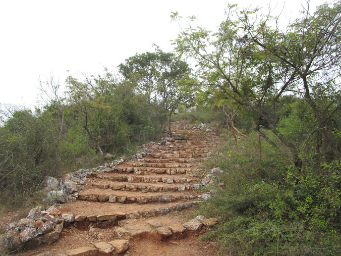 Pachaimalai Hills, photo 2 of 8