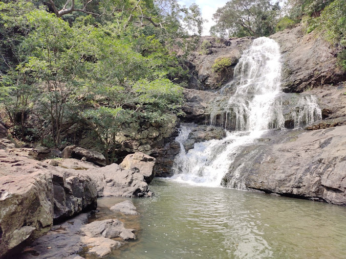 Pachaimalai Hills, photo 3 of 8