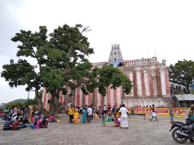 Venkatachalapathy temple, photo 1 of 9