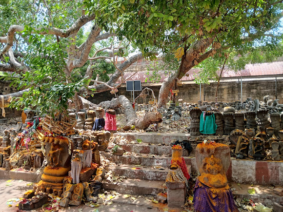 Tiruppullani, photo 3 of 9
