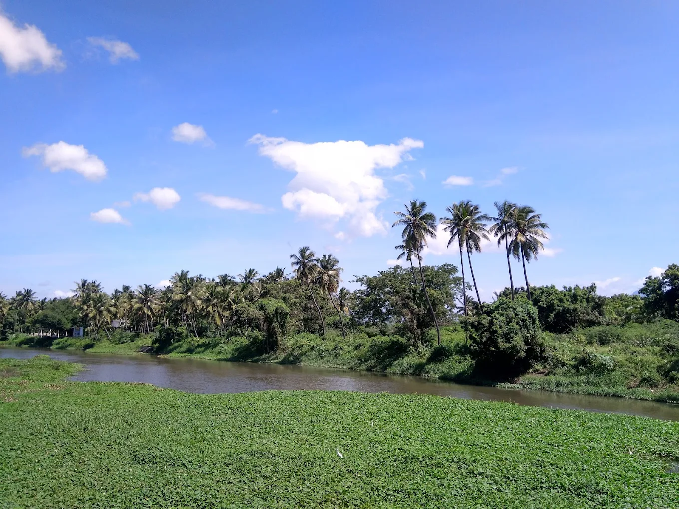 Kanniyakumari, Tamil Nadu, photo 3