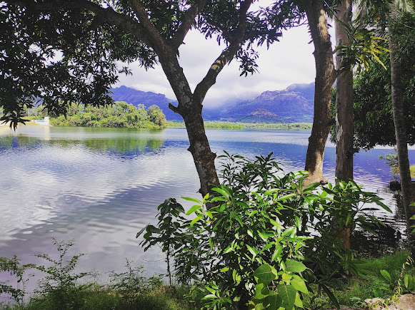 Pechiparai Reservoir, photo 4 of 11