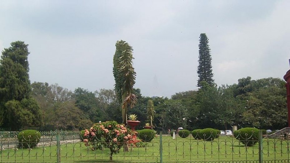 Bengaluru, Karnataka, photo 4