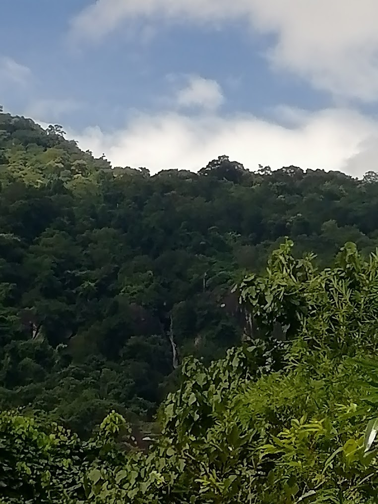 Ulakkai Aaruvi Sellum Paathai, photo 1 of 7
