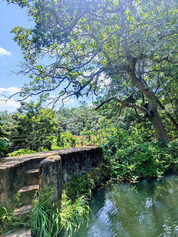 Ulakkai Aaruvi Sellum Paathai, photo 4 of 7