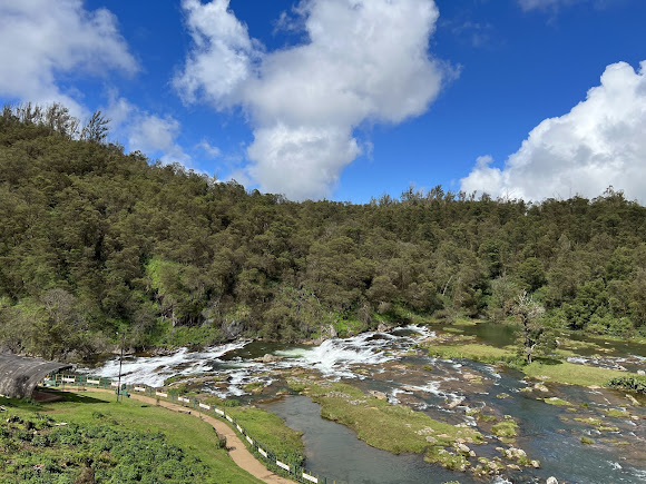 Mudumalai, photo 4 of 9
