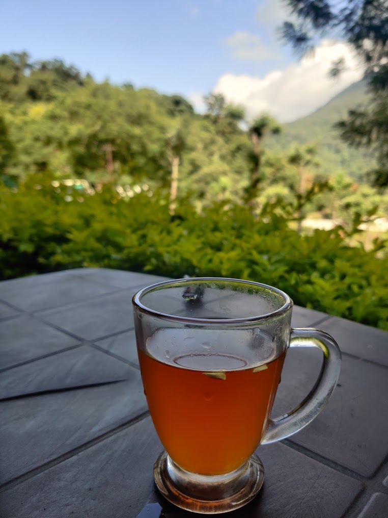 Brooklands Tea Estate, photo 2 of 6