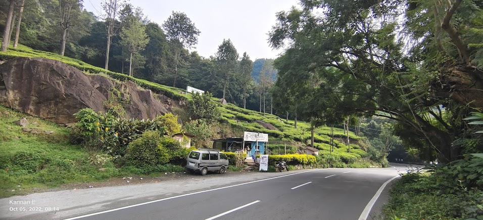 Brooklands Tea Estate, photo 4 of 6