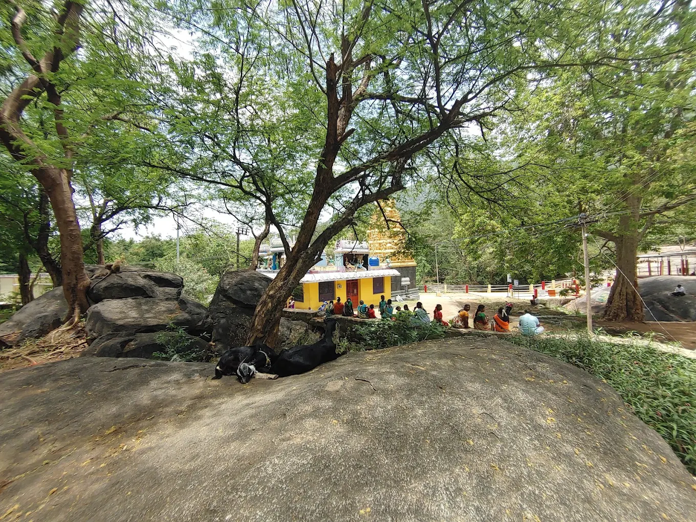 Yercaud, Tamil Nadu, photo 4