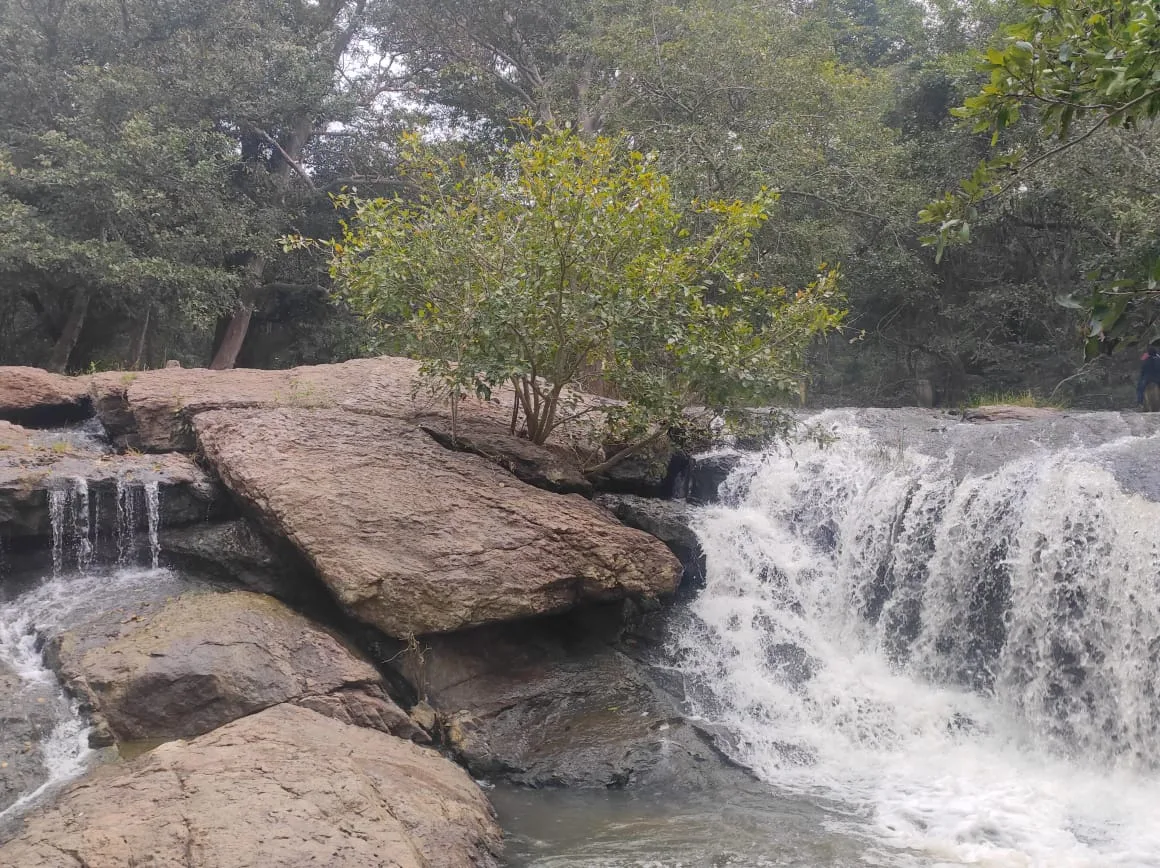 Vellore, Tamil Nadu, photo 3