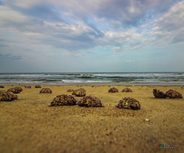 Veerampattinam Beach, photo 4 of 9
