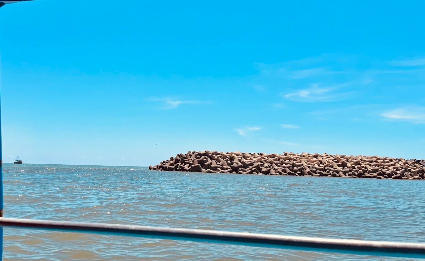 Mangrove forest, photo 4 of 10