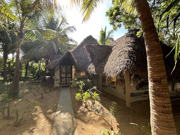 Dune Eco Village and Spa, photo 4 of 9
