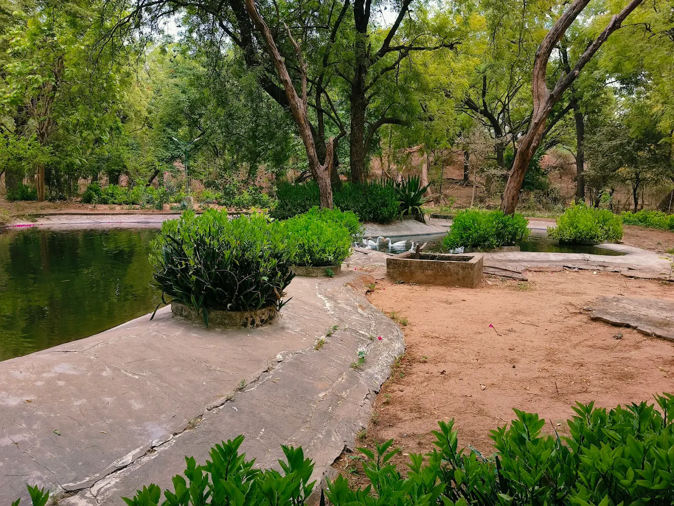 Indroda Nature Park, photo 1 of 9