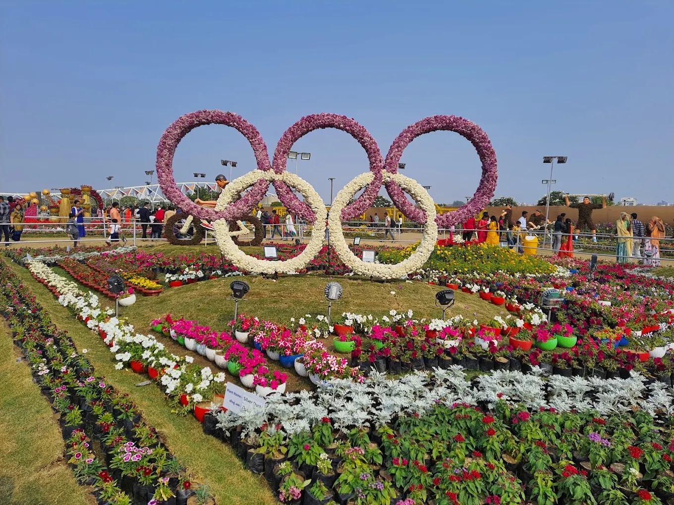 Ahmedabad, Gujarat, photo 3