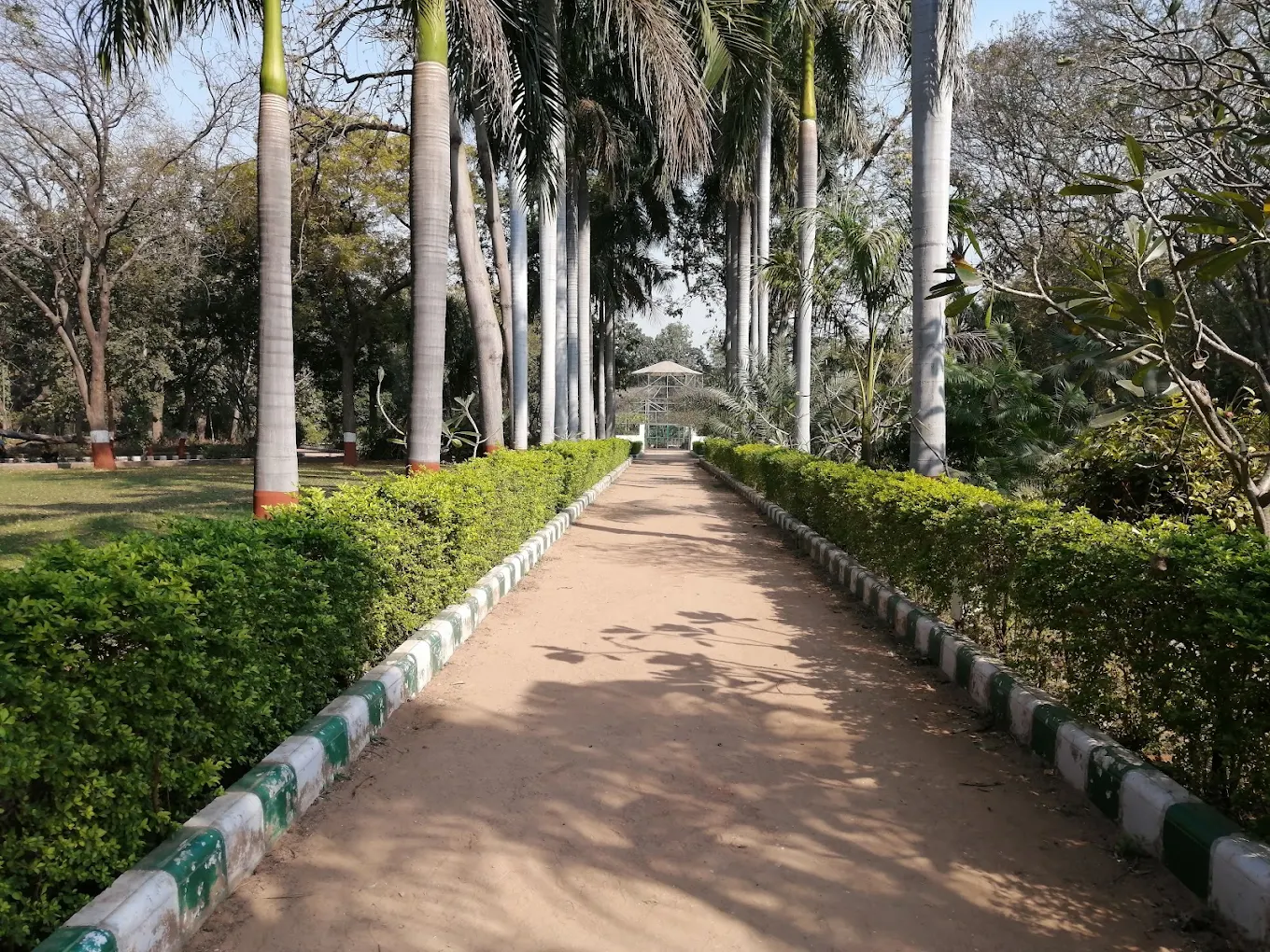 Botanical Garden, photo 1 of 10