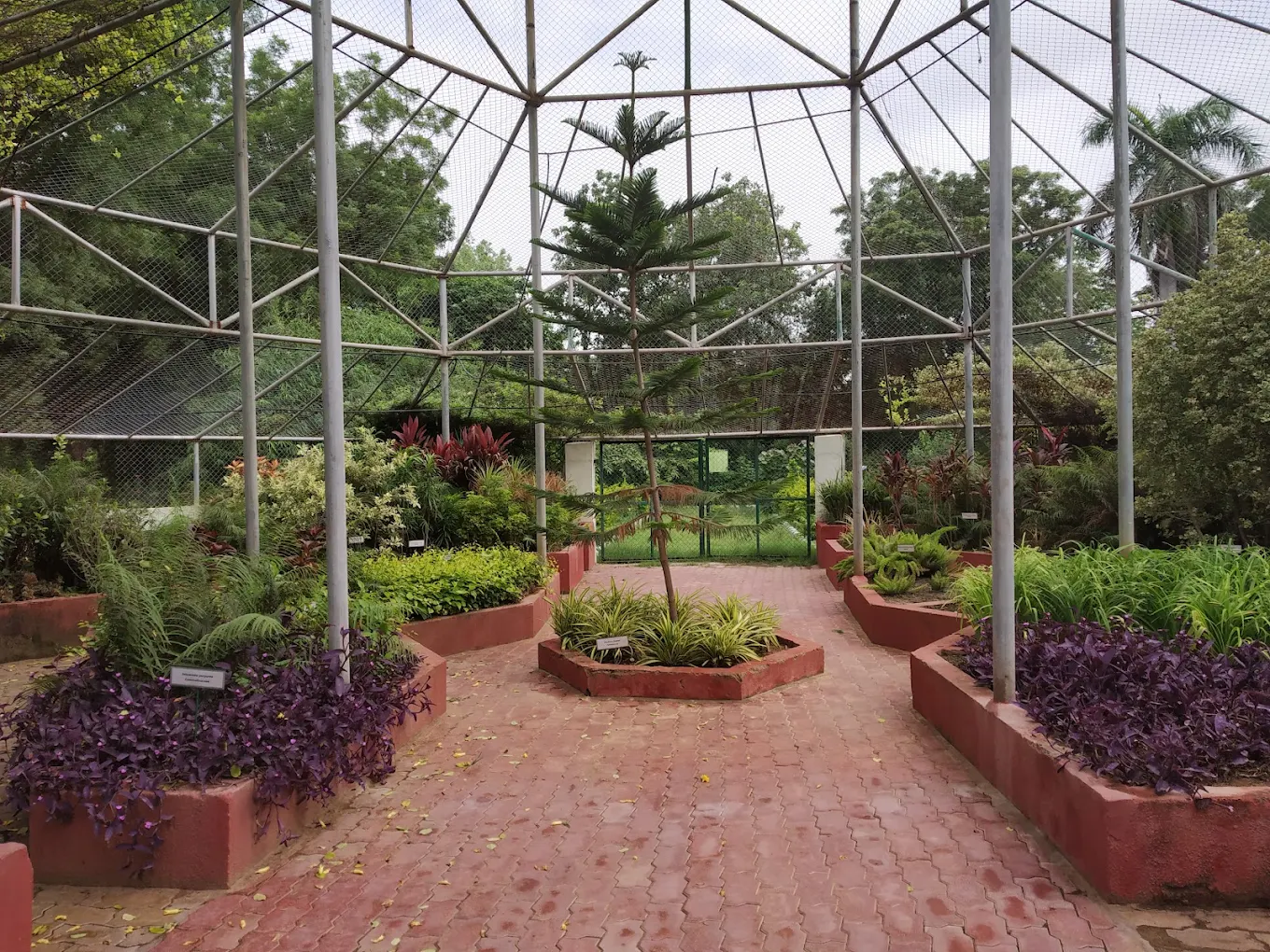 Botanical Garden, photo 2 of 10