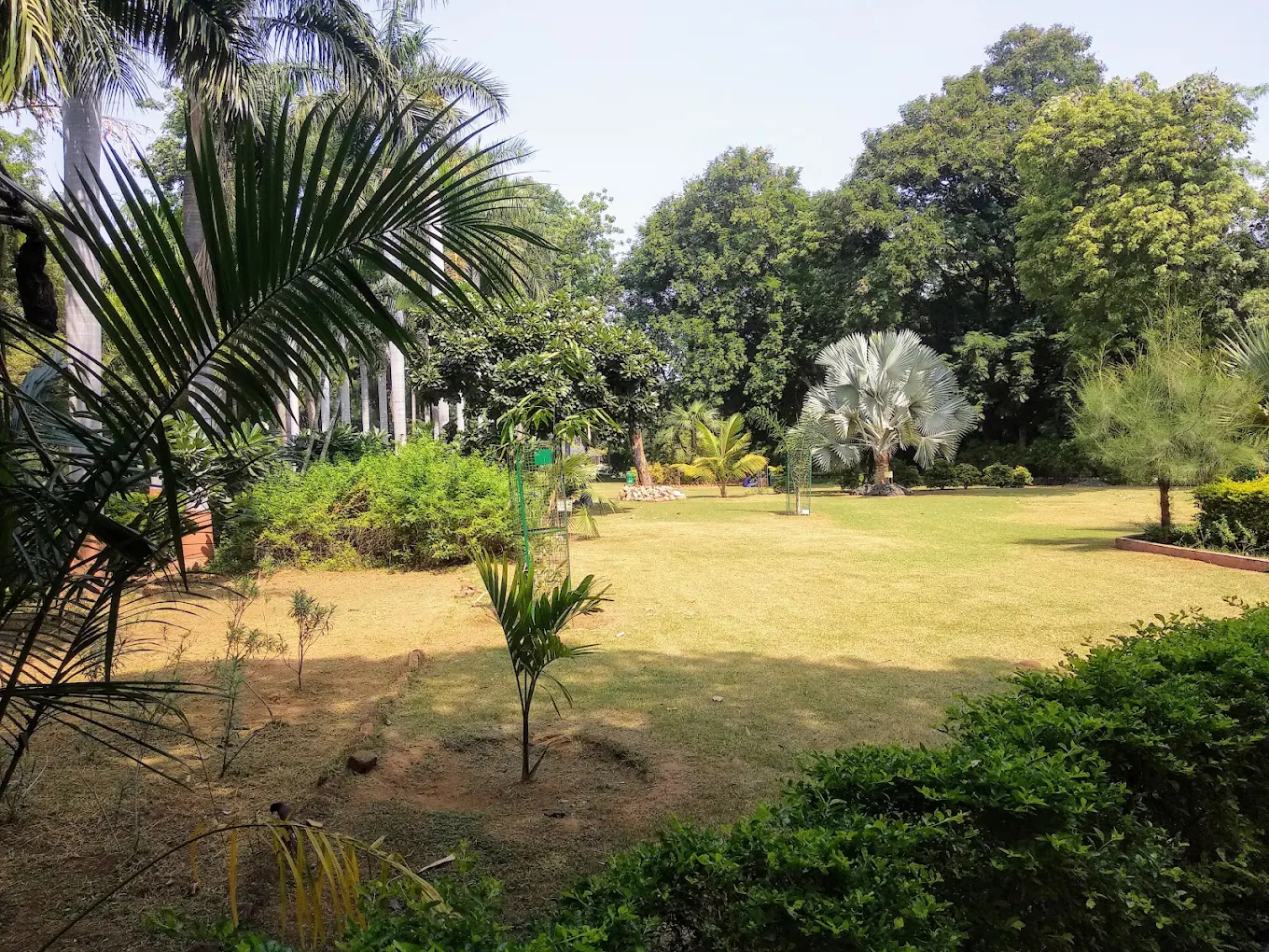 Botanical Garden, photo 3 of 10