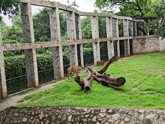 Sayaji Baug, photo 3 of 20