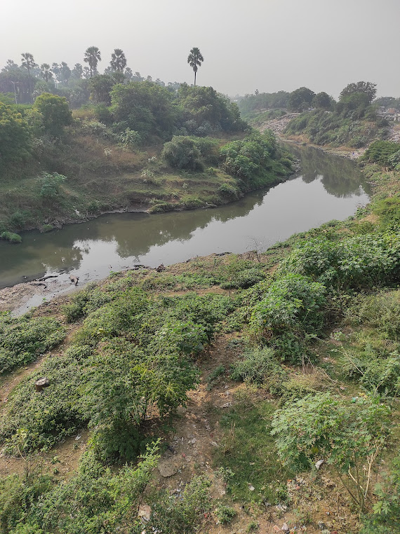 Vadodara, Gujarat, photo 3