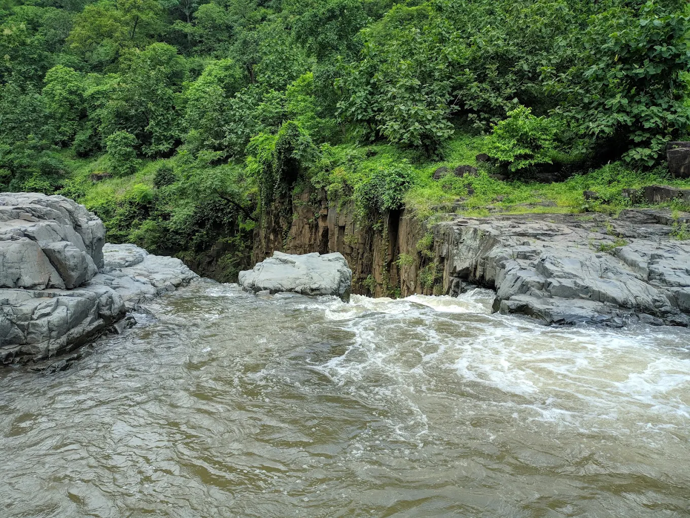 Zarwani, photo 3 of 9