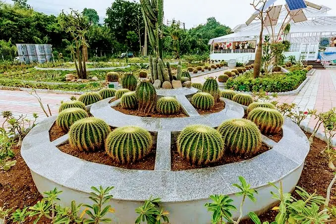 Cactus Garden, photo 1 of 10