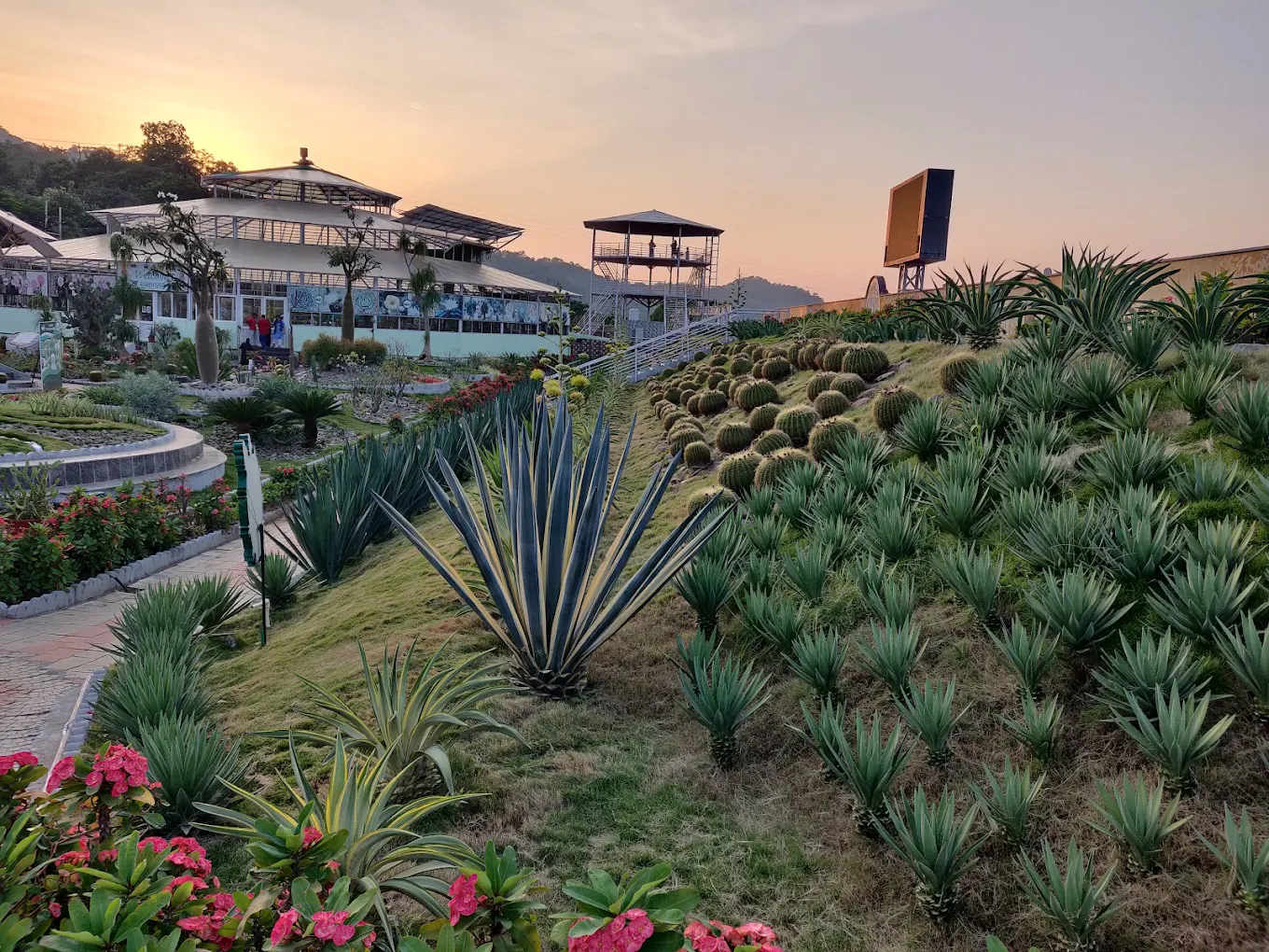 Cactus Garden, photo 2 of 10