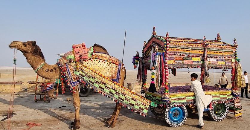 Kutch’s white desert (Rann of Kutch), photo 1 of 9