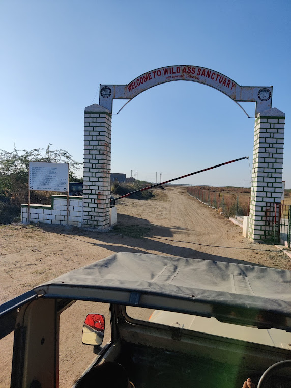 Chhari Dhand Bird Sanctuary, photo 4 of 7