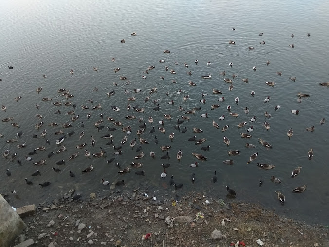 Lakhota Lake, photo 2 of 8