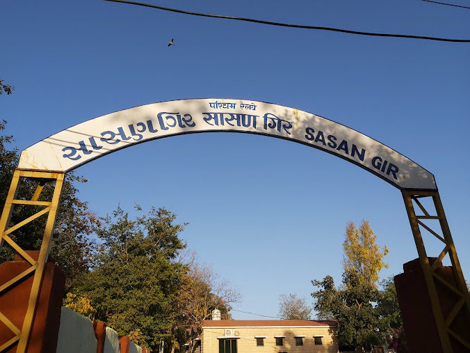 Sasan gir, photo 3 of 7