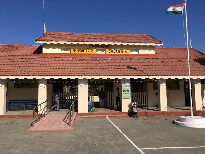 Sasan gir, photo 4 of 7