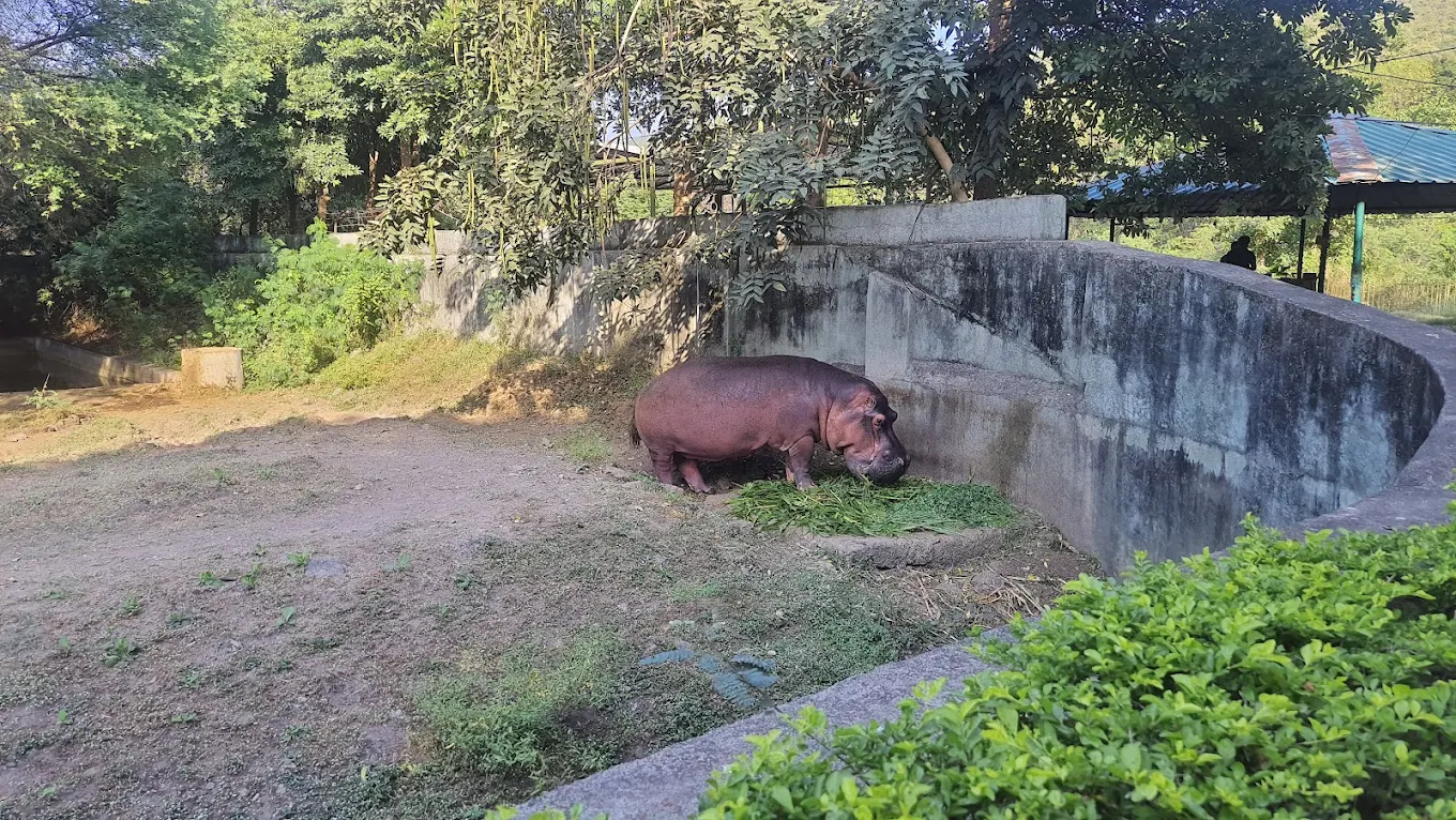 Sakkarbaug Zoological Park, photo 1 of 20