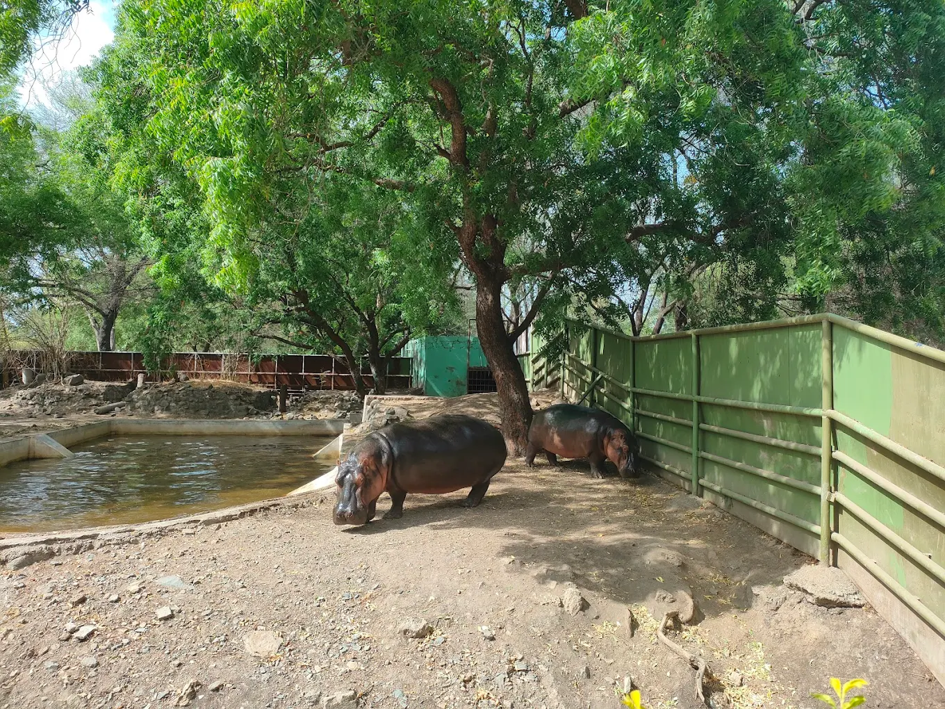 Sakkarbaug Zoological Park, photo 2 of 20