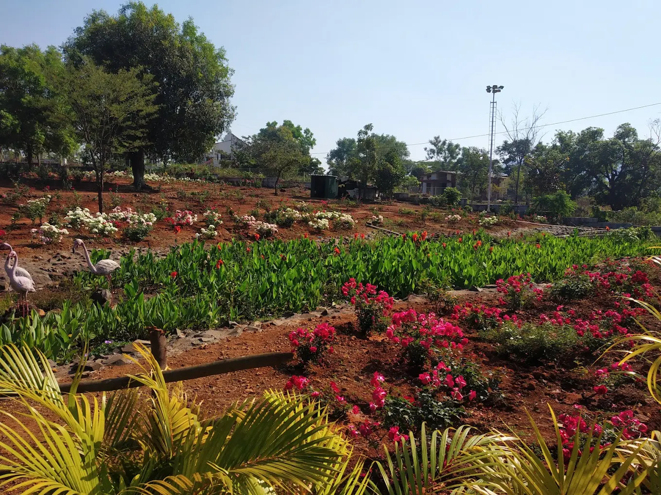 Rose Garden, photo 2 of 12