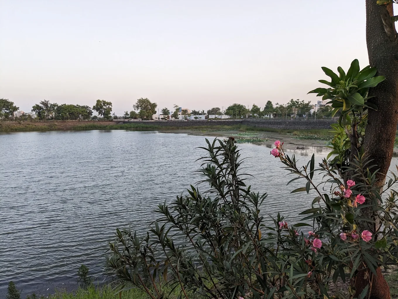 Dhaman, Gujarat, photo 3