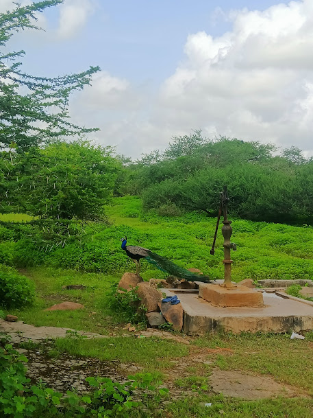 Dwarka, Gujarat