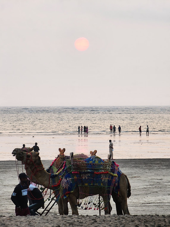 Porbandar Beach, photo 3 of 9