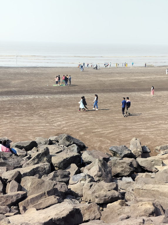 Tithal Beach, photo 4 of 6